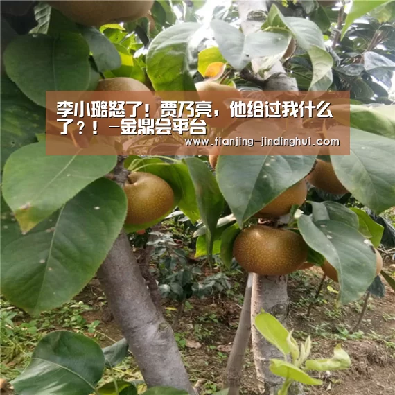 李小璐怒了!贾乃亮,他给过我什么了?!-金鼎会平台(图2) 金鼎会体育