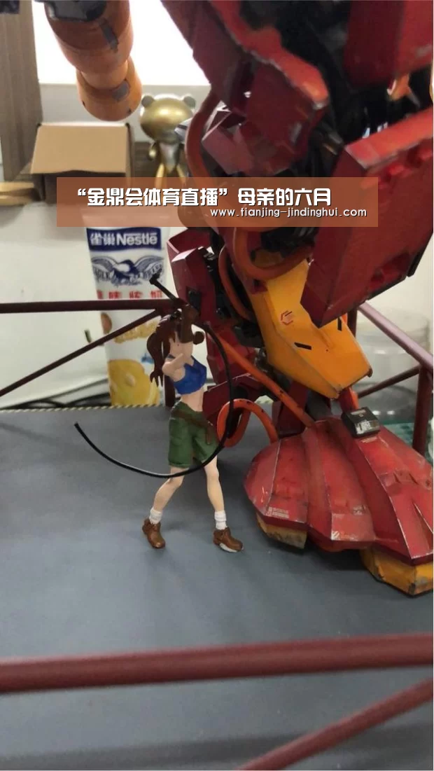 金鼎会体育